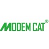 Modem Cat