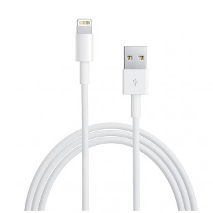 Cablu de date Apple Original pentru iPhone / iPad - Lightning Blister 2m
